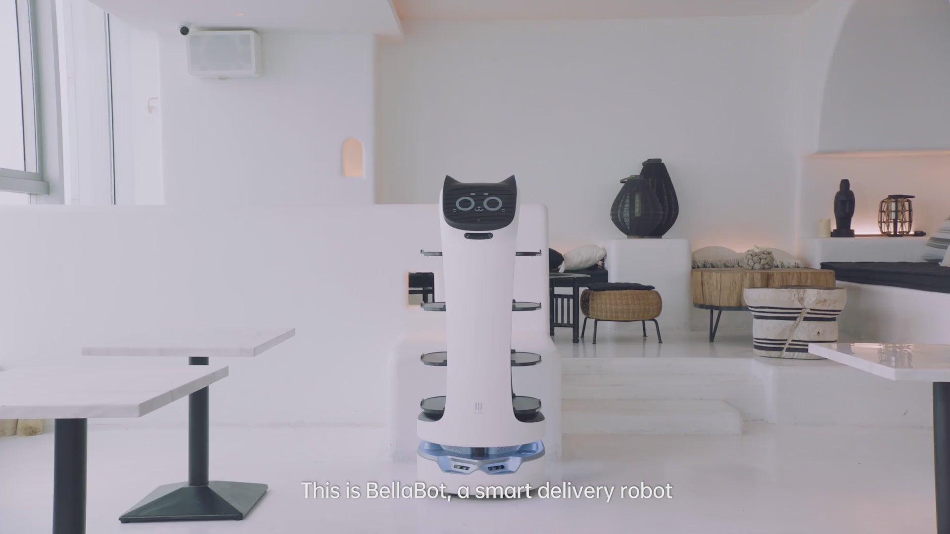 BellaBot